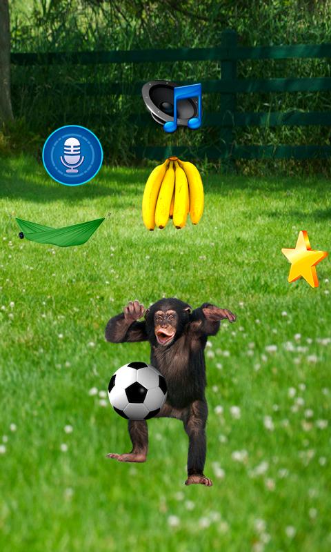 Funny Talking Monkey