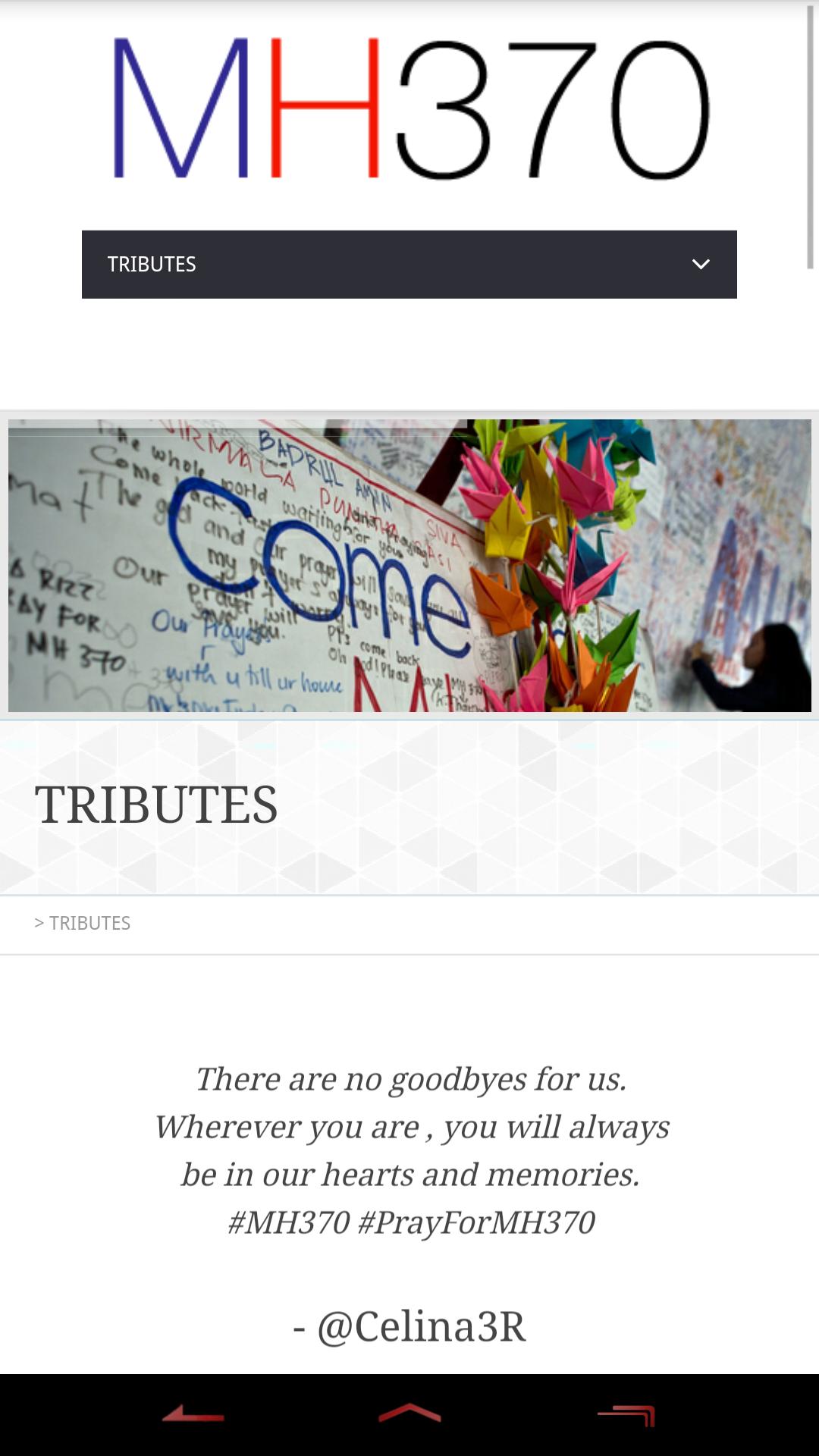 Remembering MH370