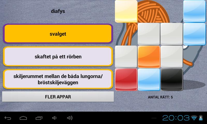 SSK TERMINOLOGI