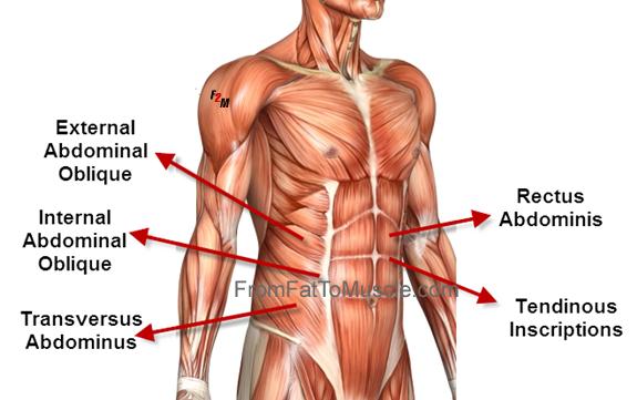 Complete Six Packs Guide