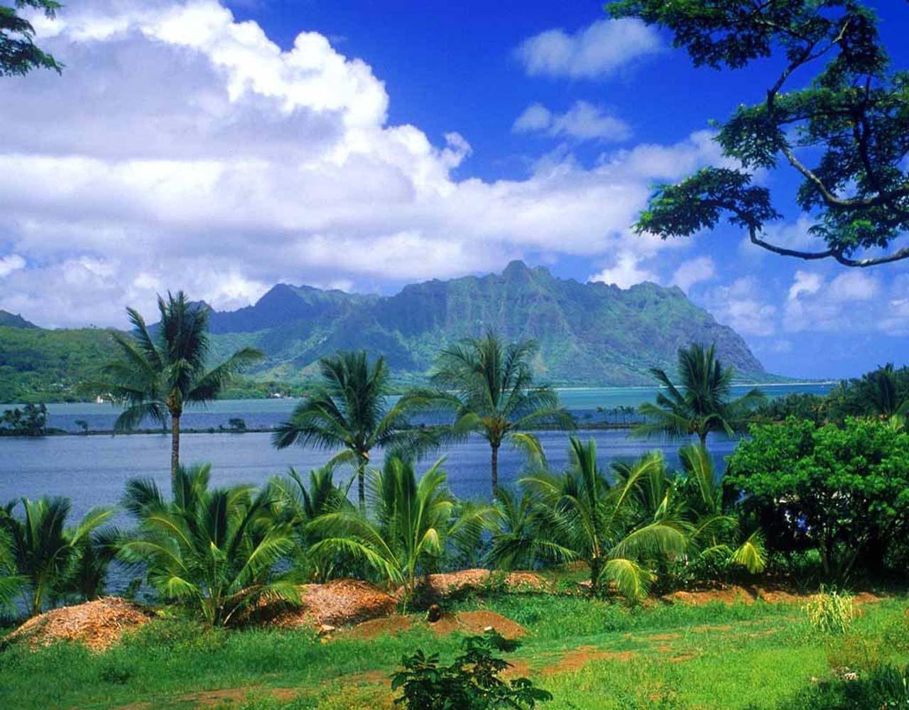 Hawaii Wallpaper