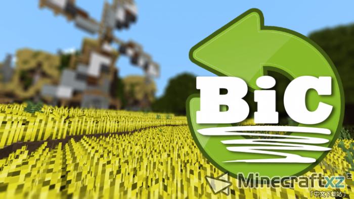 Ancient material bag Bic Revamped Resource Pack