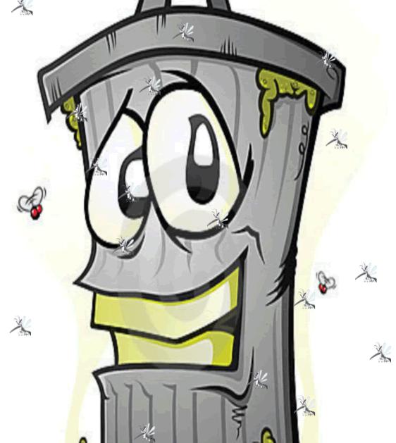 Killing Mosquito