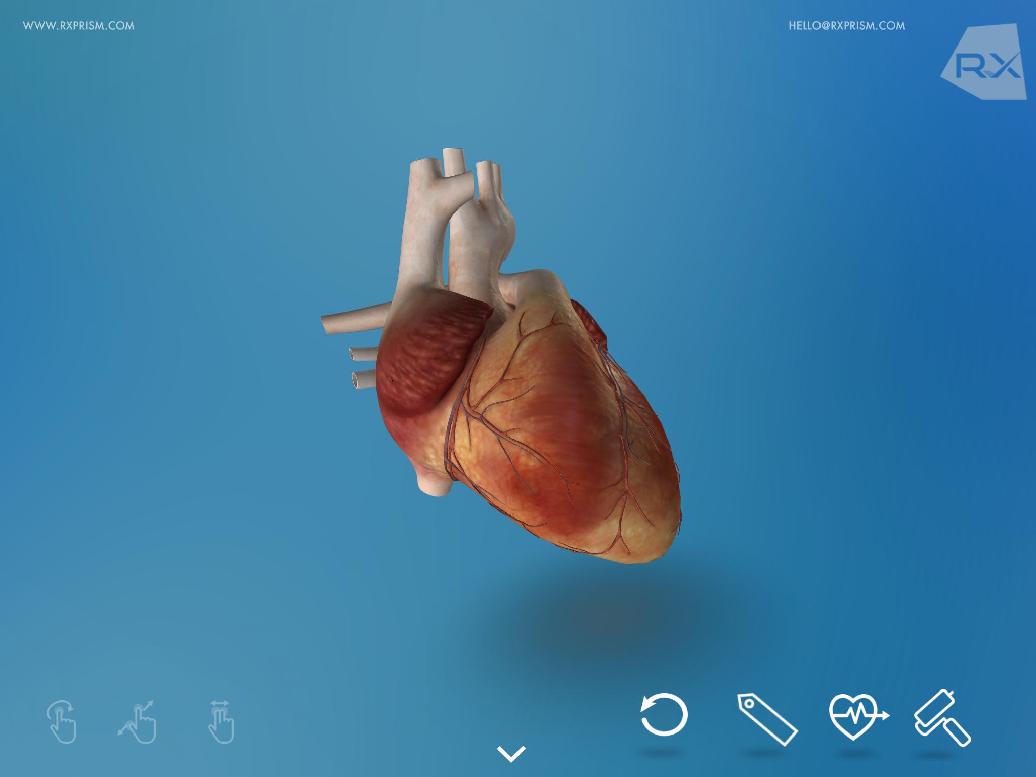 Heart Explore 3D