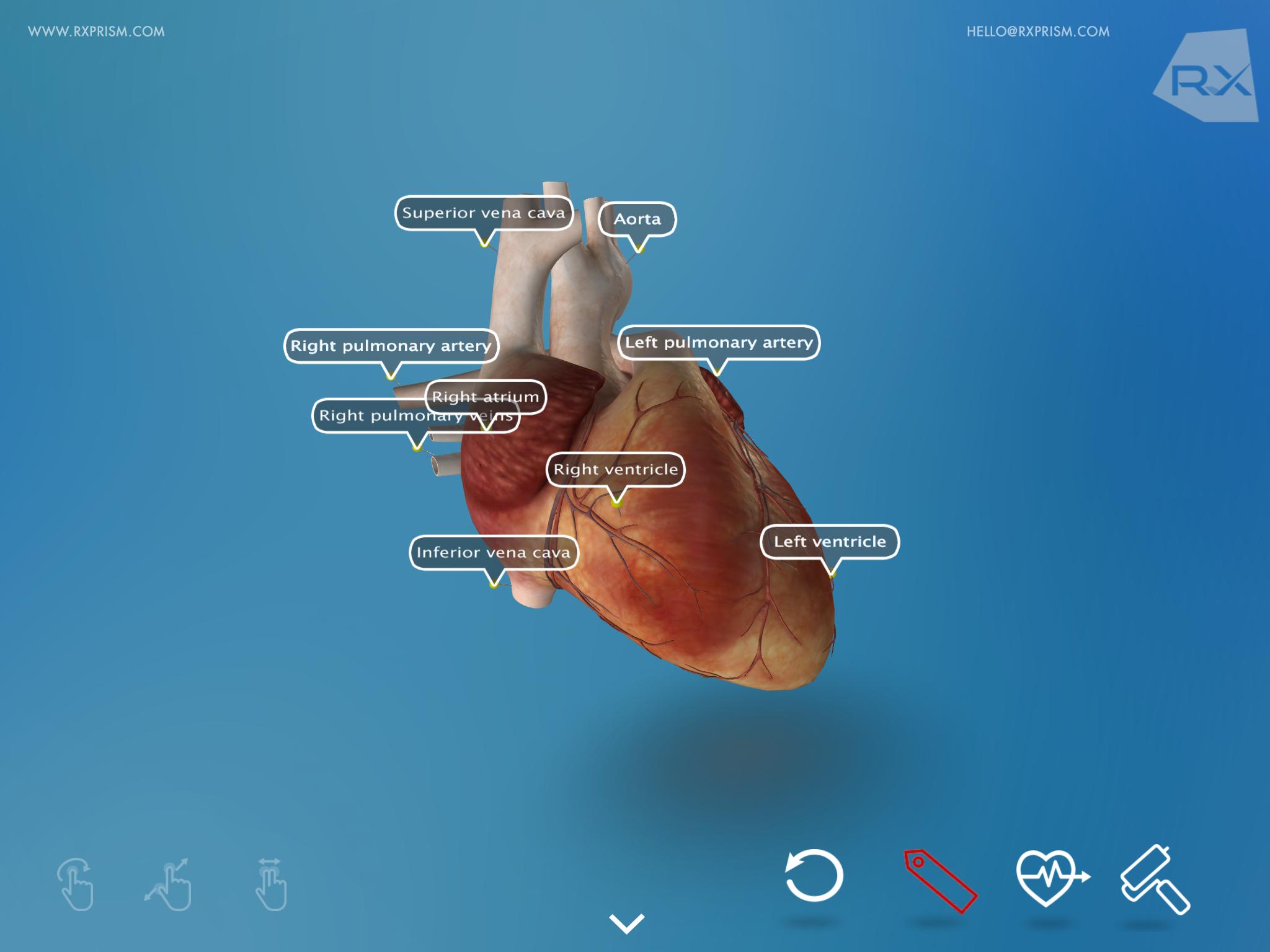 Heart Explore 3D