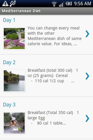 Mediterranean Diet