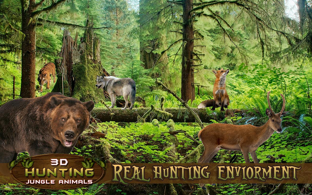 3D Hunting Jungle Animals