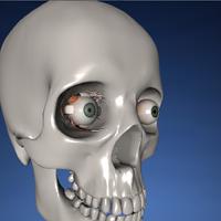 EON 3D Human Eye