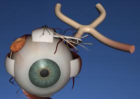 EON 3D Human Eye