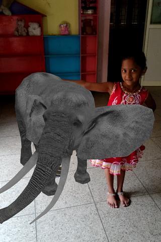 Animals 4D