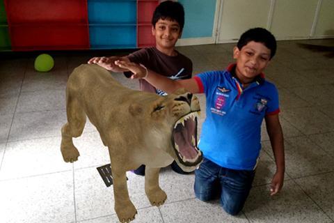 Animals 4D