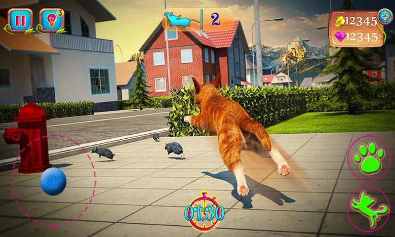 Cute Cat Adventure 2016