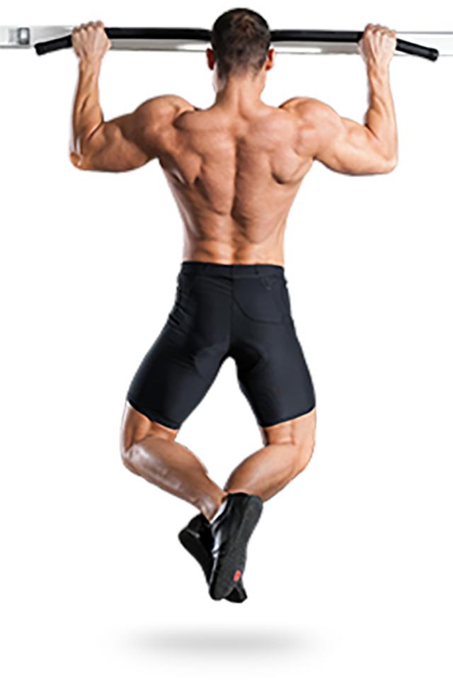Daily Back Workout