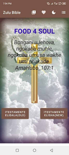 Zulu Bible