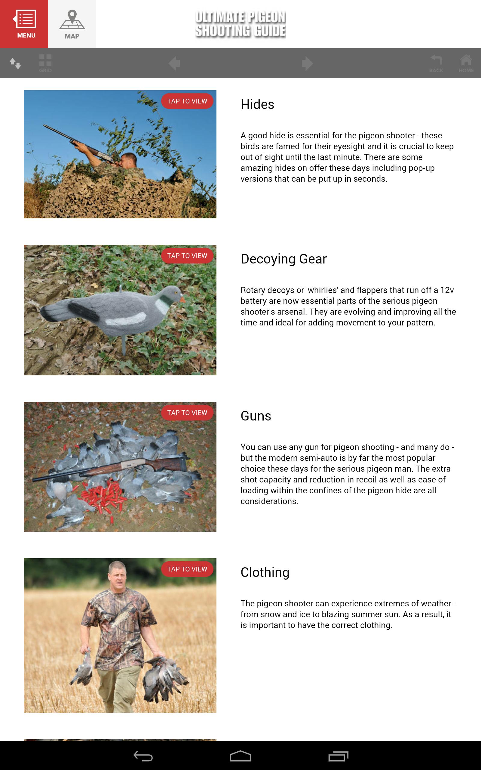 Ultimate Pigeon Shooting Guide