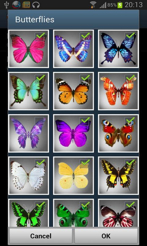 Butterflies LWP