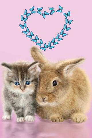 Cat and Bunny. Cute Wallpaper.