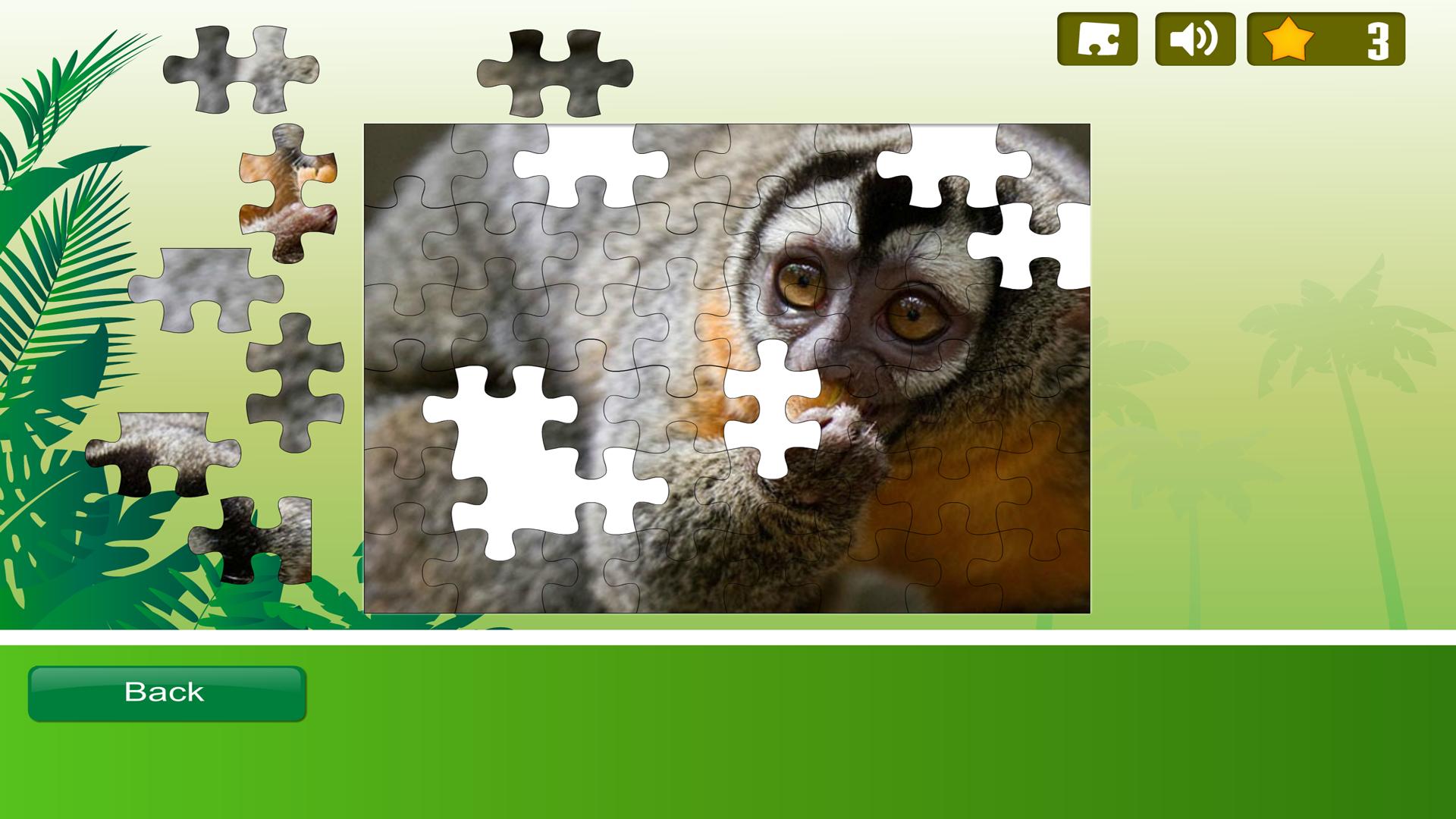 Rainforest Animals Puzzle