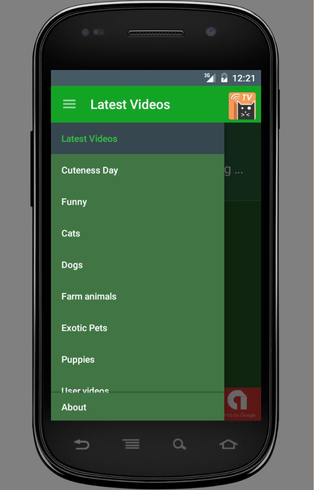 TV Video Pets & Funny Animals