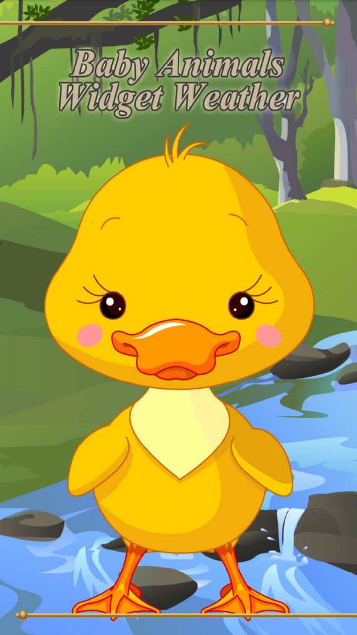 Baby Animals Widget Weather