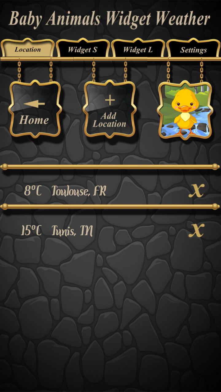 Baby Animals Widget Weather