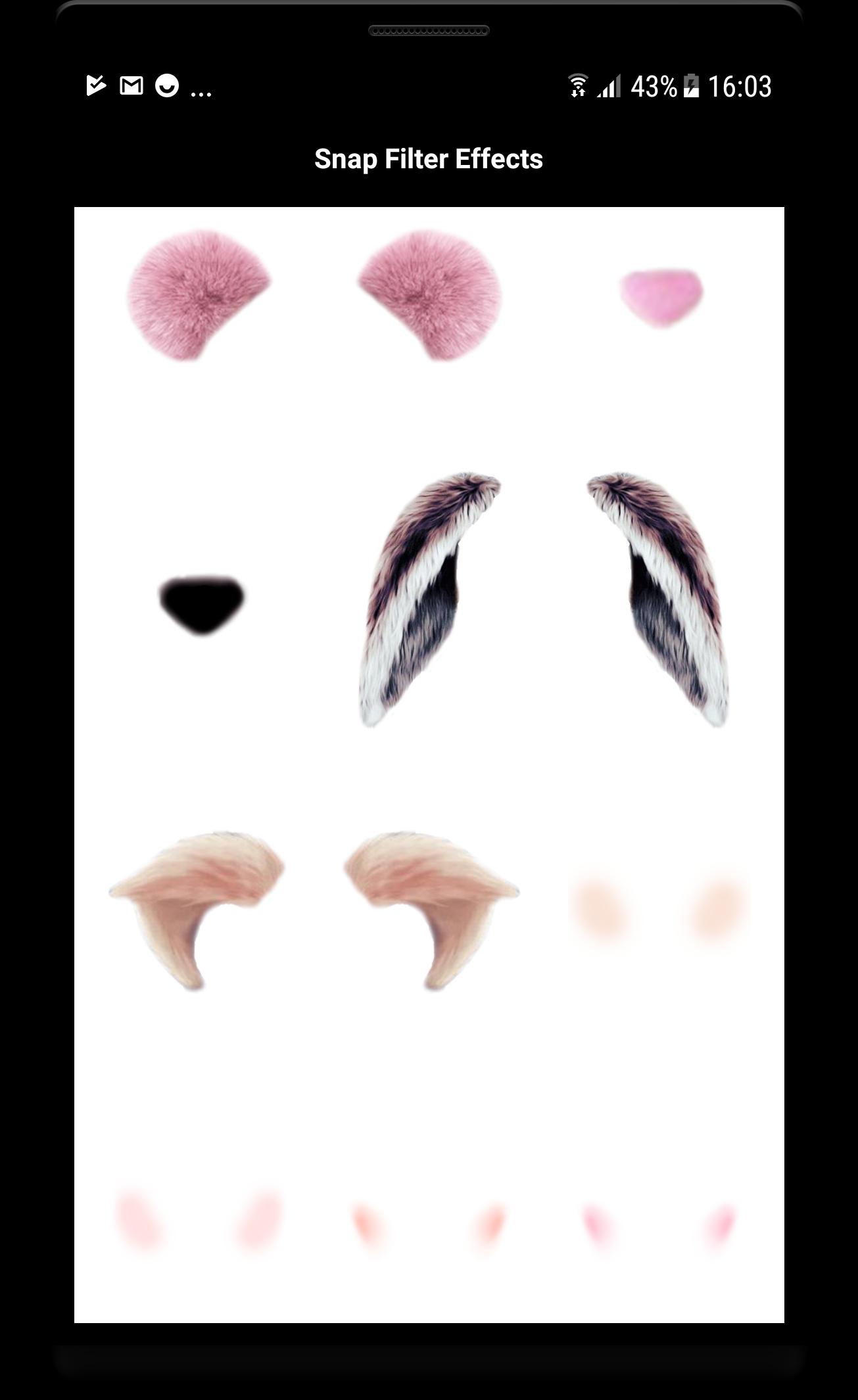 Snapfilter and Cat Face Editor Photo Design