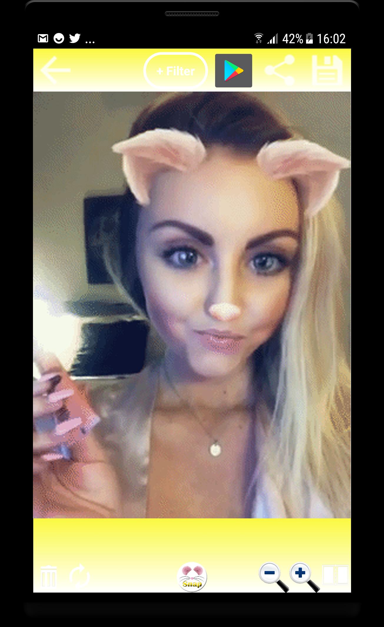 Snapfilter and Cat Face Editor Photo Design