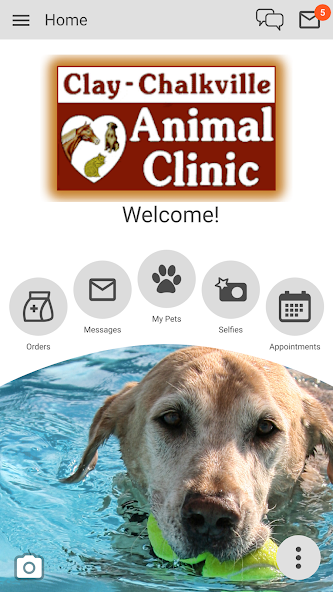 Clay Chalkville Animal Clinic