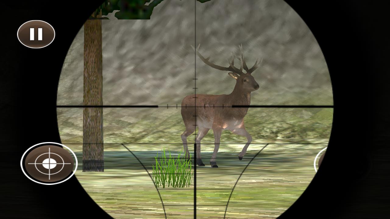 Jungle Wild Animal Hunting, 3D