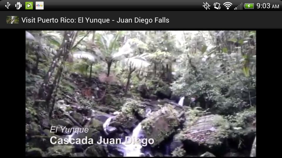 Visit Puerto Rico: El Yunque