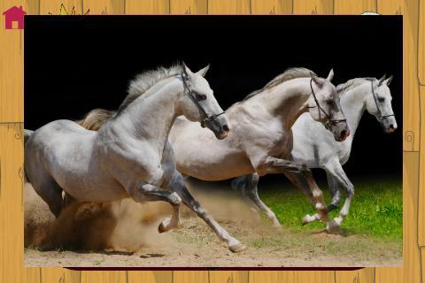 My baby loves horses