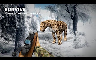 koala hunter x hunter 2016