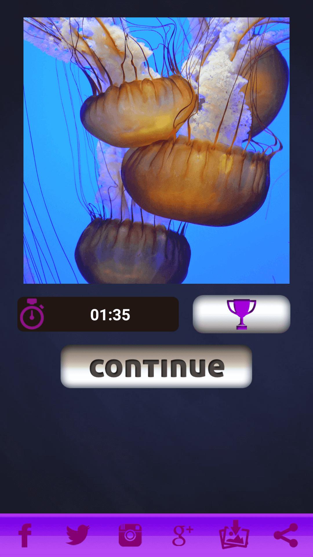 Nature Puzzles for Children