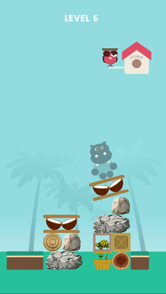 Rainforest Animals: Jackanapes