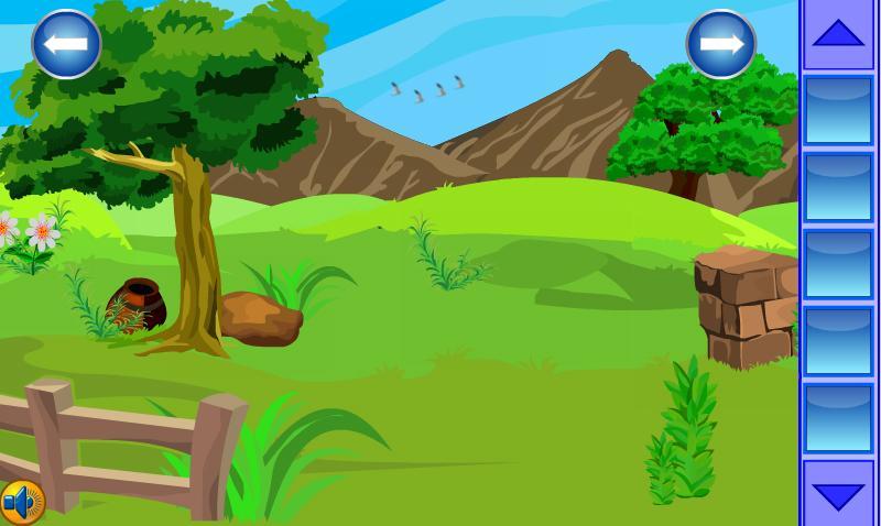 Rabbit Escape from Cage