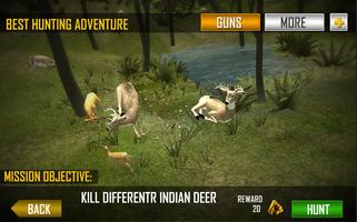 Deer Wild  Animal  Hunter