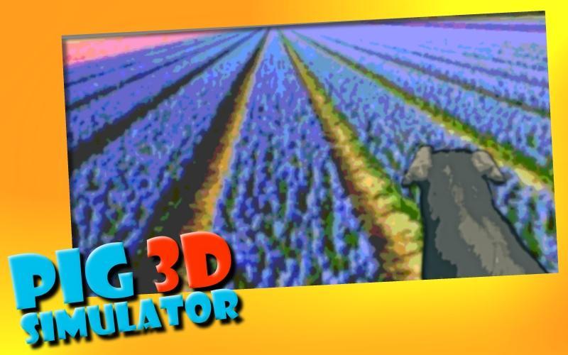 Pigs 3D Simulator