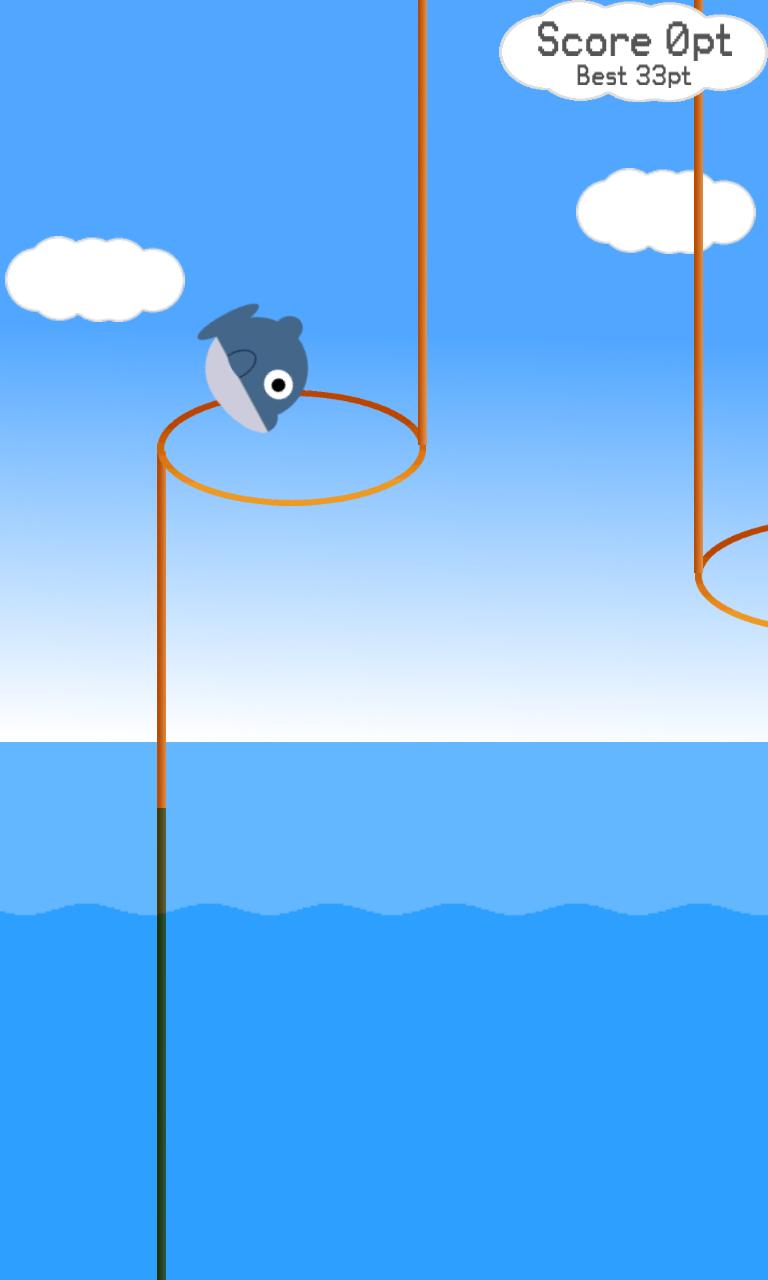 Flying Dolphin Through Hoops