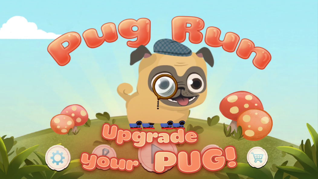 Pug Run