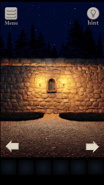 Night in the Deep Forest