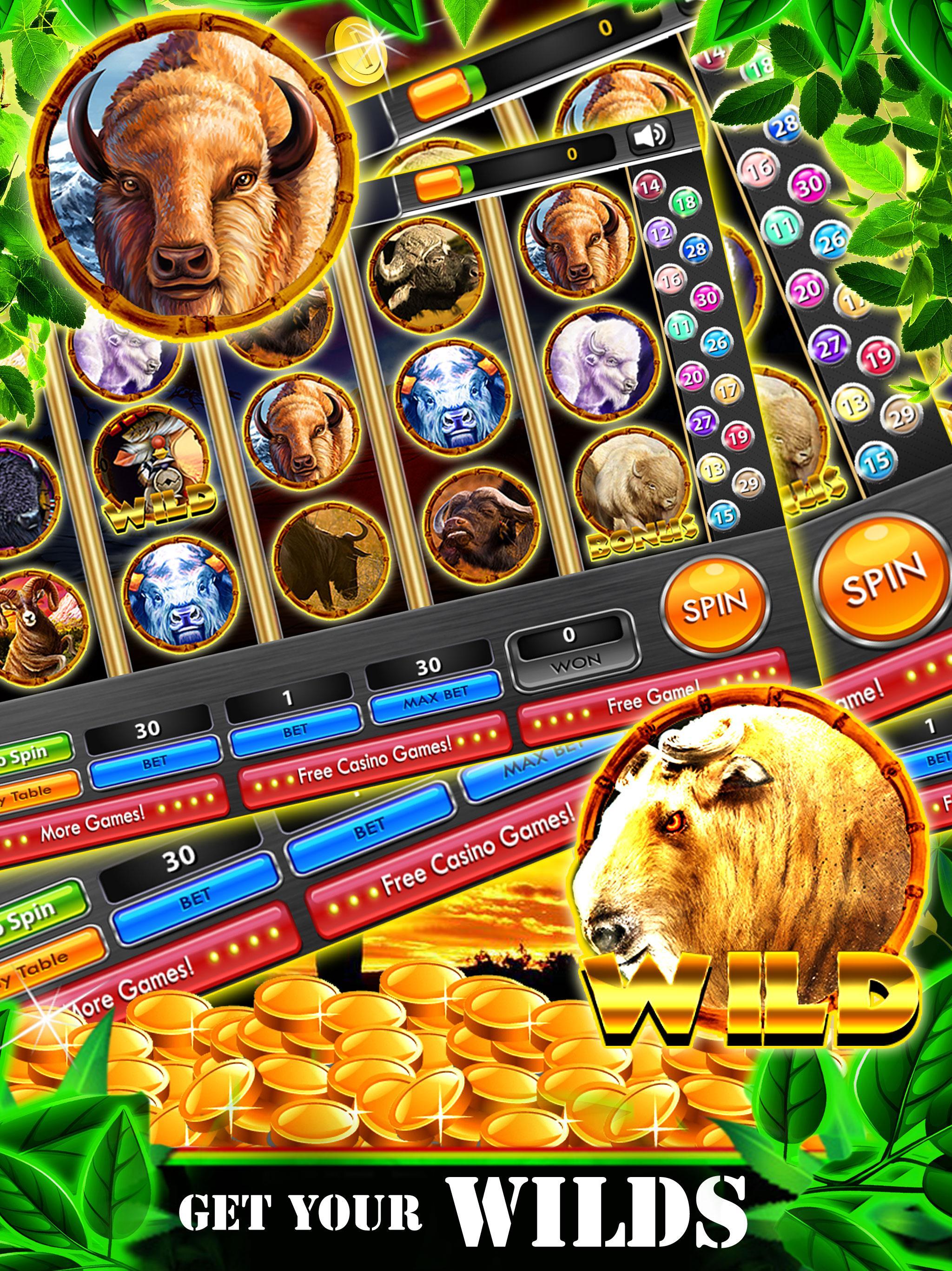 Wild Buffalo Safari HD Slots