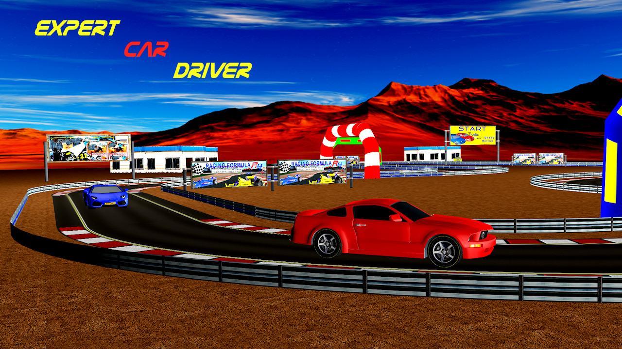 Expert car driver