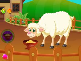 Sheep Baby Birth